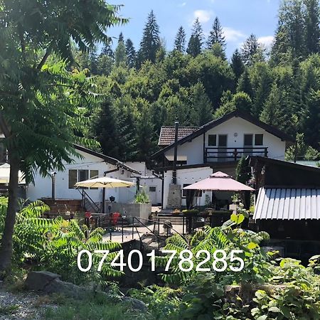 Podul De Brazi - Fir Bridge Villa Cîrţişoara Exterior foto