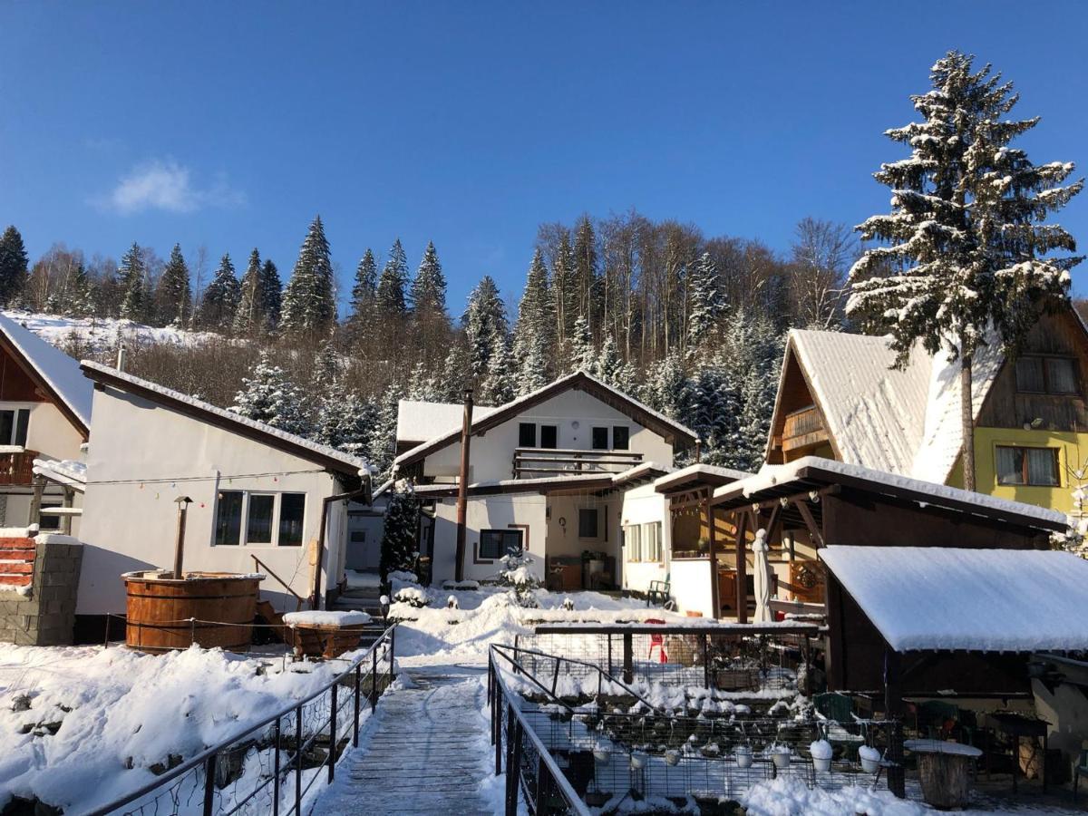 Podul De Brazi - Fir Bridge Villa Cîrţişoara Exterior foto