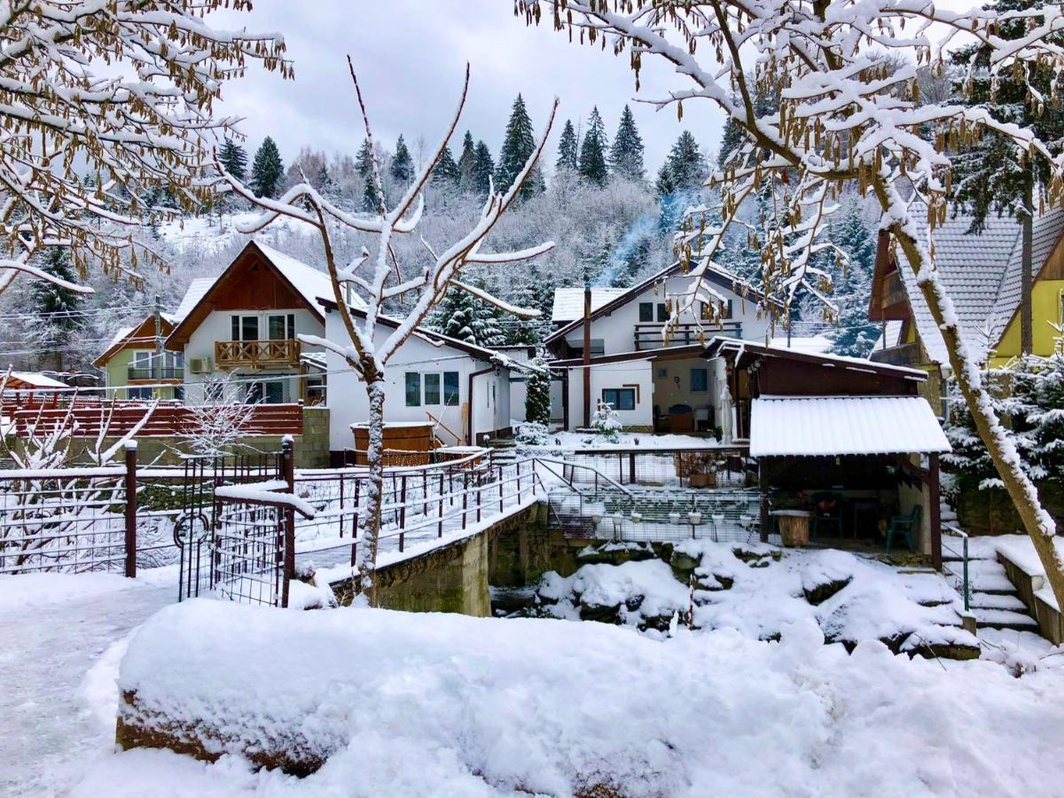 Podul De Brazi - Fir Bridge Villa Cîrţişoara Exterior foto