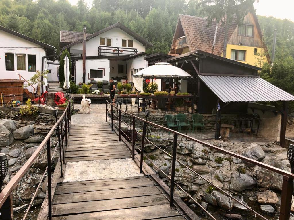 Podul De Brazi - Fir Bridge Villa Cîrţişoara Exterior foto