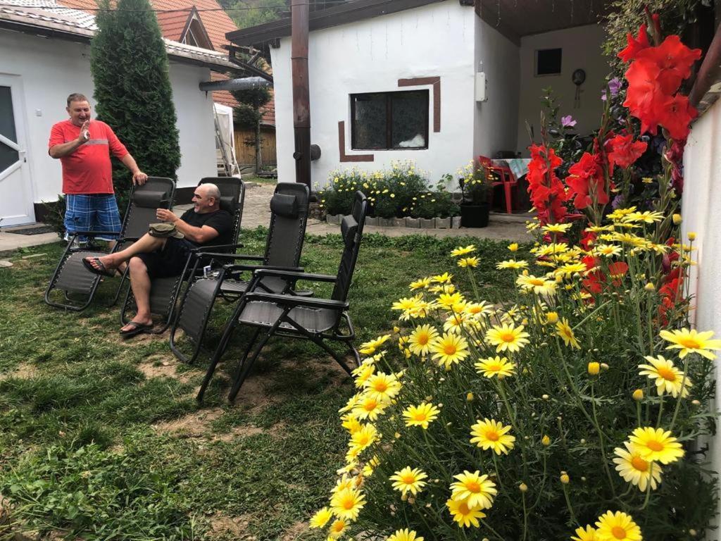Podul De Brazi - Fir Bridge Villa Cîrţişoara Exterior foto