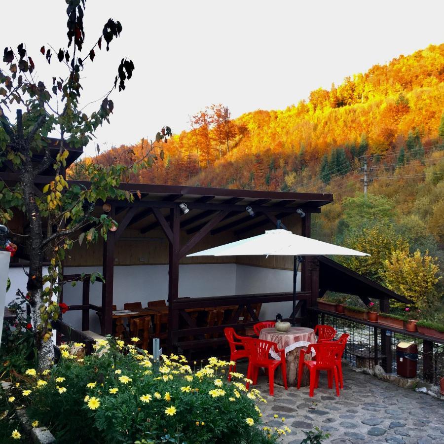 Podul De Brazi - Fir Bridge Villa Cîrţişoara Exterior foto