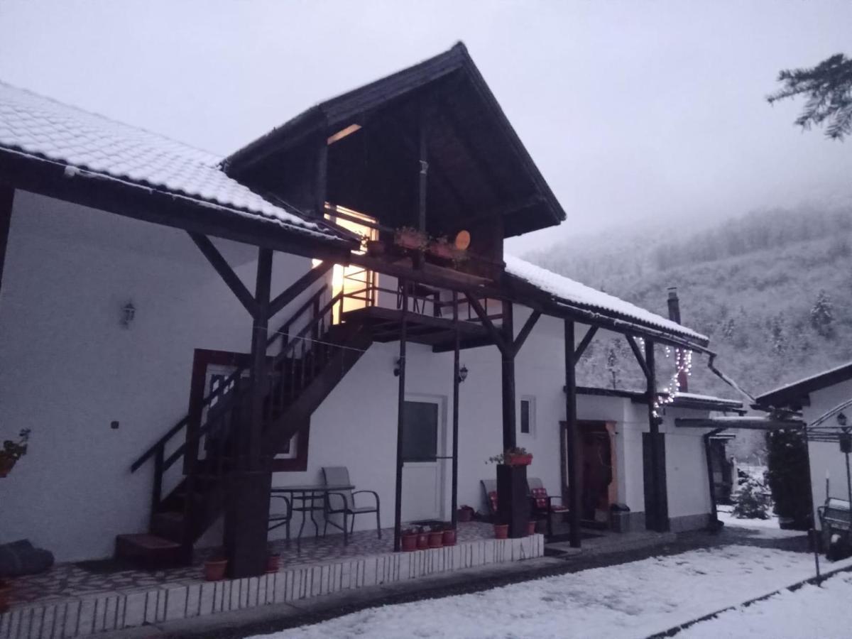 Podul De Brazi - Fir Bridge Villa Cîrţişoara Exterior foto