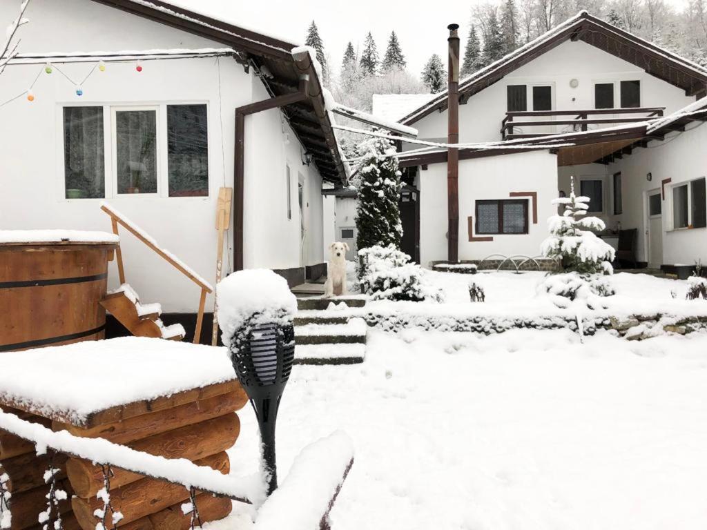 Podul De Brazi - Fir Bridge Villa Cîrţişoara Exterior foto
