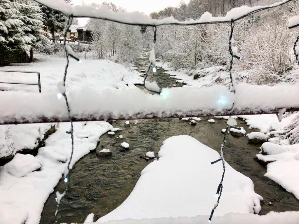 Podul De Brazi - Fir Bridge Villa Cîrţişoara Exterior foto