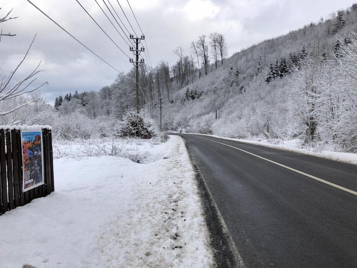 Podul De Brazi - Fir Bridge Villa Cîrţişoara Exterior foto