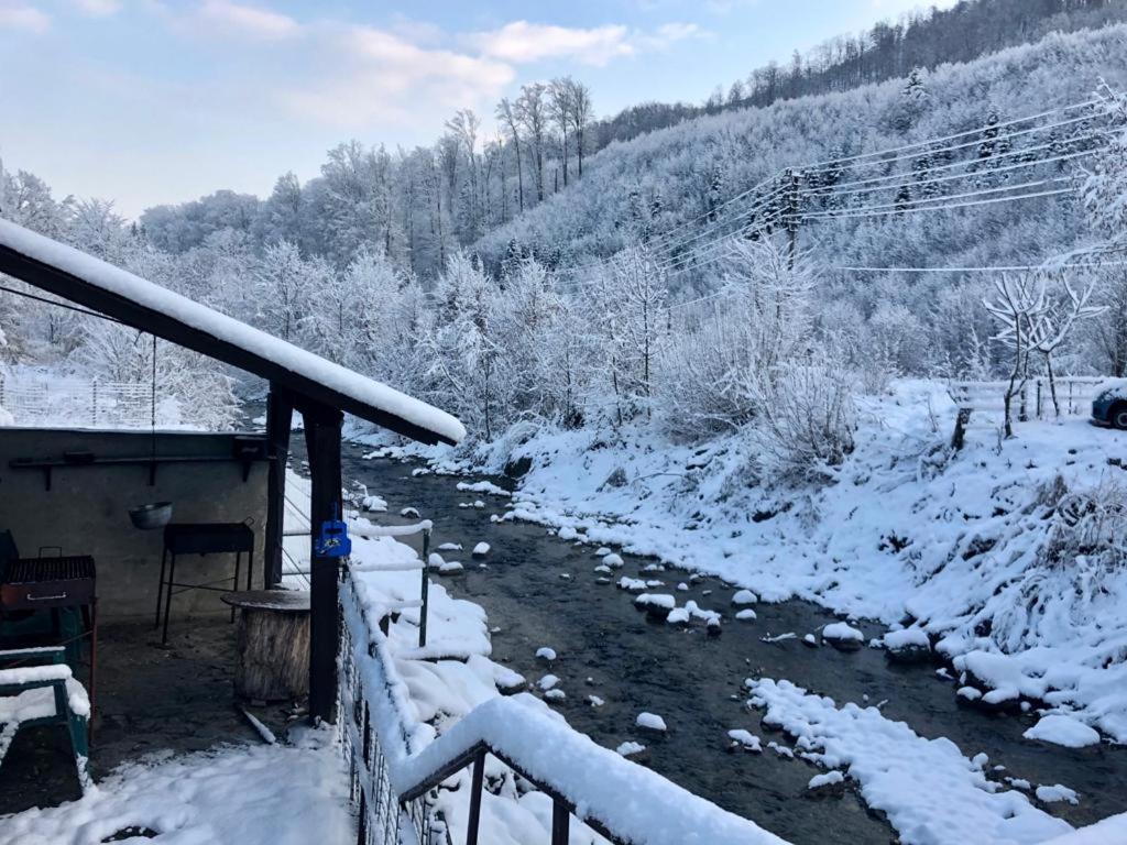 Podul De Brazi - Fir Bridge Villa Cîrţişoara Exterior foto