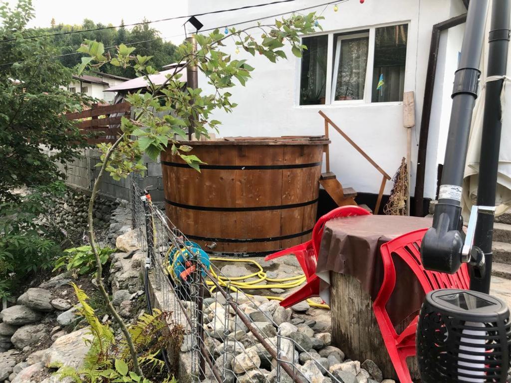 Podul De Brazi - Fir Bridge Villa Cîrţişoara Exterior foto