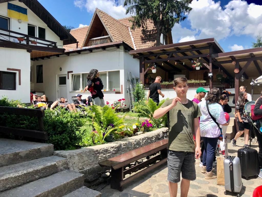 Podul De Brazi - Fir Bridge Villa Cîrţişoara Exterior foto