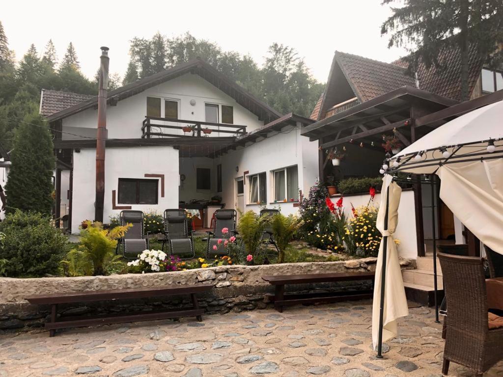 Podul De Brazi - Fir Bridge Villa Cîrţişoara Exterior foto