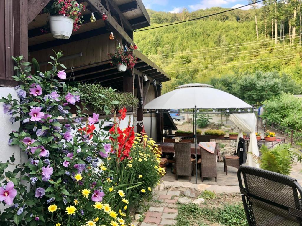 Podul De Brazi - Fir Bridge Villa Cîrţişoara Exterior foto