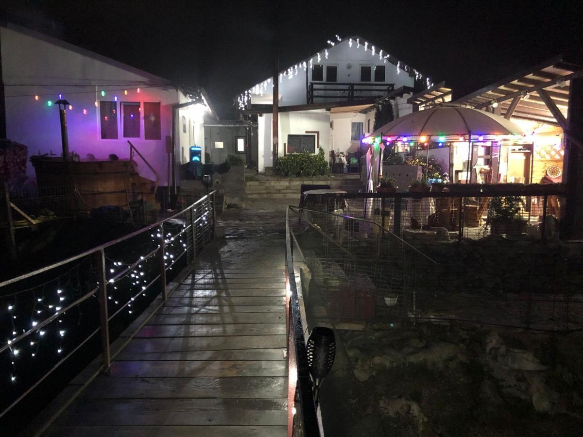 Podul De Brazi - Fir Bridge Villa Cîrţişoara Exterior foto