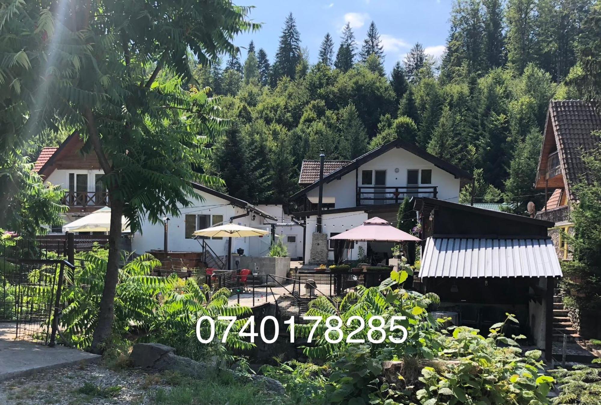 Podul De Brazi - Fir Bridge Villa Cîrţişoara Exterior foto
