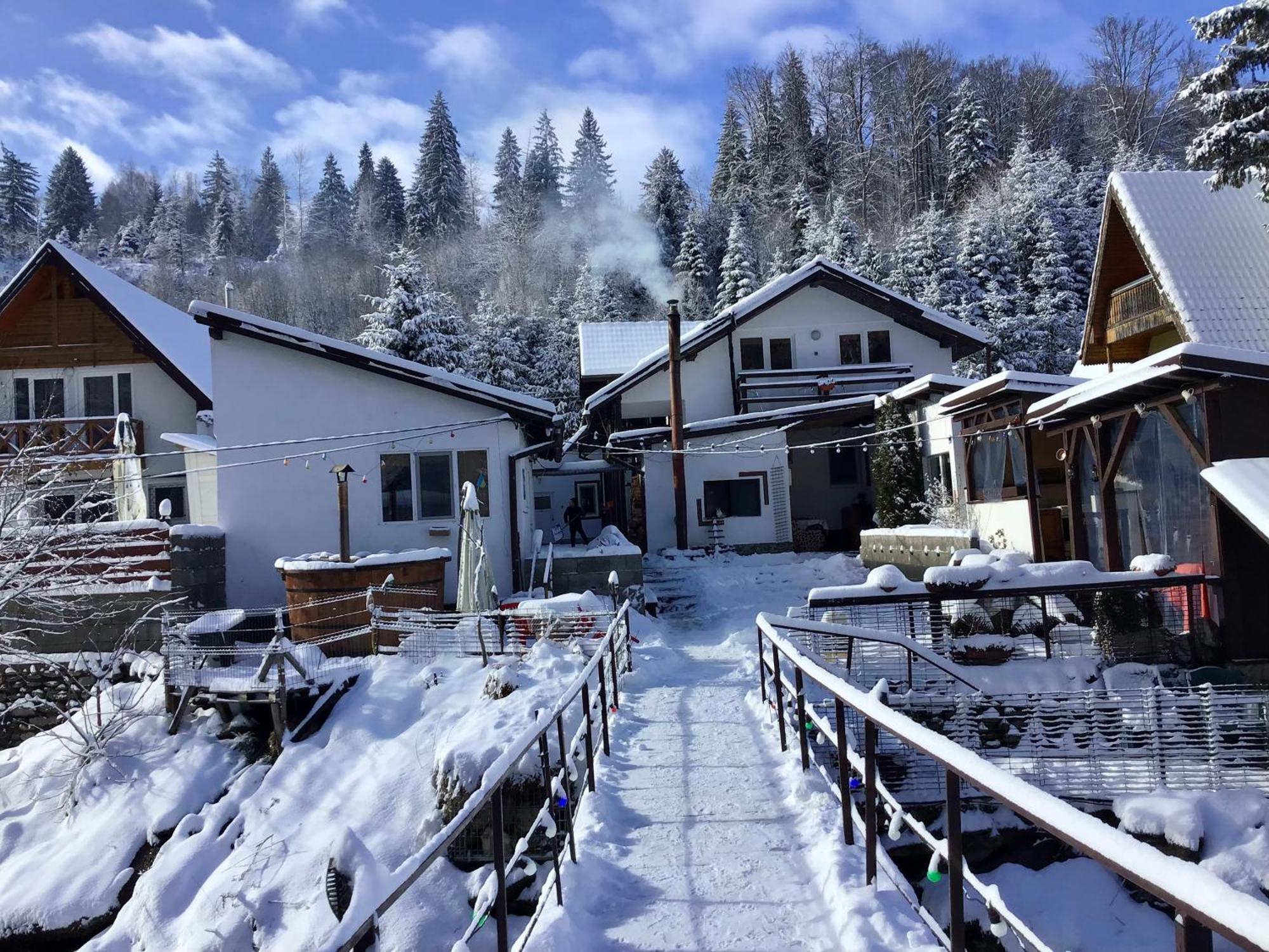 Podul De Brazi - Fir Bridge Villa Cîrţişoara Exterior foto